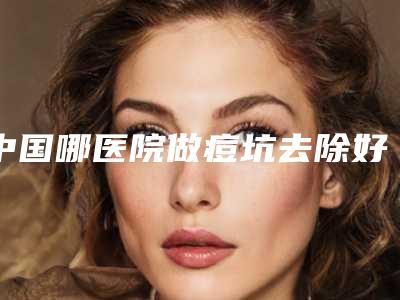 中国哪医院做痘坑去除好:痘坑去除医院前50佳这几个不容错过